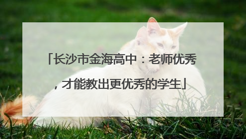 长沙市金海高中：老师优秀，才能教出更优秀的学生
