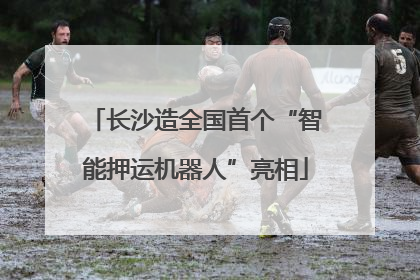 长沙造全国首个“智能押运机器人”亮相