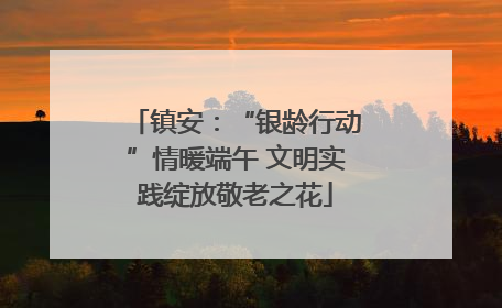 镇安：“银龄行动”情暖端午 文明实践绽放敬老之花