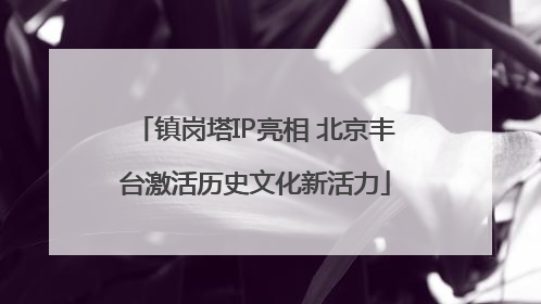 镇岗塔IP亮相 北京丰台激活历史文化新活力