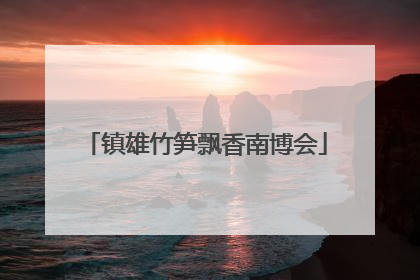 镇雄竹笋飘香南博会
