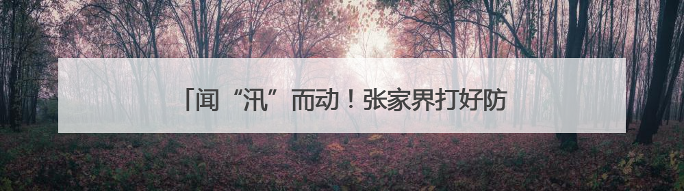 闻“汛”而动！张家界打好防汛“组合拳” 护城市安澜