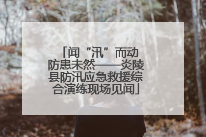 闻“汛”而动 防患未然——炎陵县防汛应急救援综合演练现场见闻