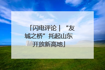 闪电评论｜“友城之桥”托起山东开放新高地