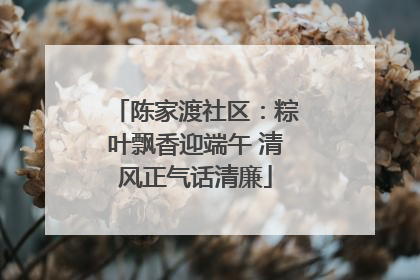 陈家渡社区：粽叶飘香迎端午 清风正气话清廉