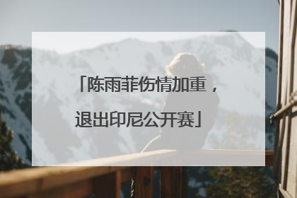陈雨菲伤情加重，退出印尼公开赛