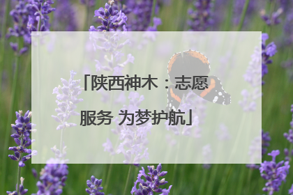 陕西神木：志愿服务 为梦护航