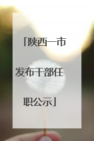 陕西一市发布干部任职公示