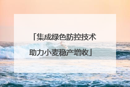 集成绿色防控技术助力小麦稳产增收