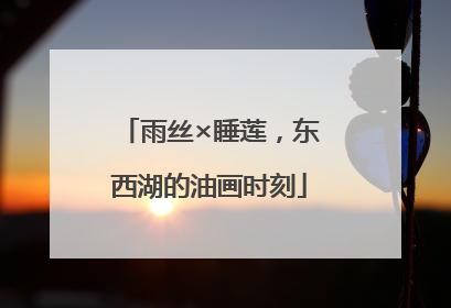 雨丝×睡莲，东西湖的油画时刻