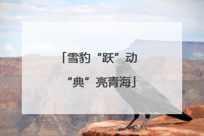 雪豹“跃”动 “典”亮青海