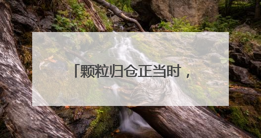 颗粒归仓正当时，山东六千余万亩小麦陆续开镰收获