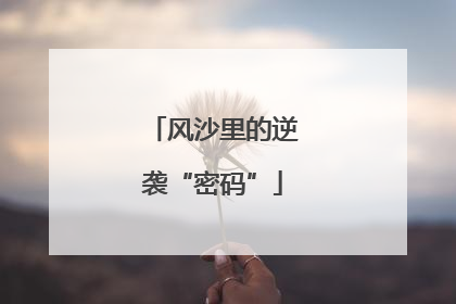 风沙里的逆袭“密码”