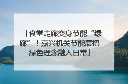 食堂走廊变身节能“绿廊”！嘉兴机关节能展把绿色理念融入日常