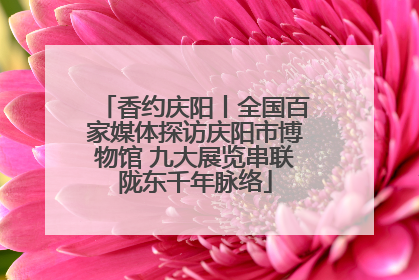 香约庆阳丨全国百家媒体探访庆阳市博物馆 九大展览串联陇东千年脉络