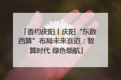 香约庆阳丨庆阳“东数西算”布局未来赛道：智算时代 绿色领航