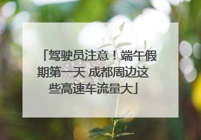 驾驶员注意！端午假期第一天 成都周边这些高速车流量大