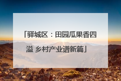 驿城区：田园瓜果香四溢 乡村产业谱新篇