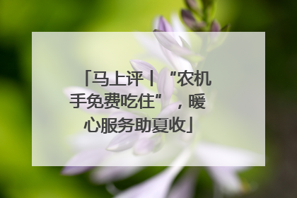 马上评丨“农机手免费吃住”，暖心服务助夏收