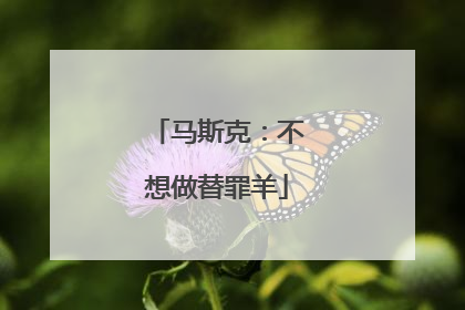 马斯克：不想做替罪羊