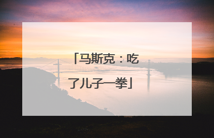 马斯克：吃了儿子一拳