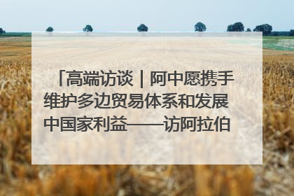高端访谈｜阿中愿携手维护多边贸易体系和发展中国家利益——访阿拉伯议会议长亚马希