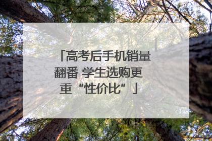 高考后手机销量翻番 学生选购更重“性价比”