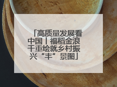 高质量发展看中国丨福稻金浪千重绘就乡村振兴“丰”景图