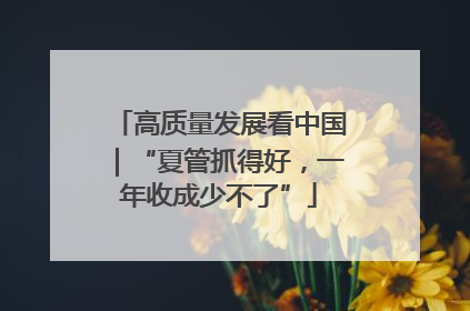 高质量发展看中国｜“夏管抓得好，一年收成少不了”