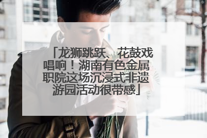 龙狮跳跃、花鼓戏唱响！湖南有色金属职院这场沉浸式非遗游园活动很带感