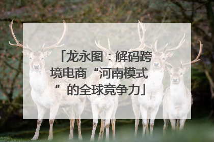 龙永图：解码跨境电商“河南模式”的全球竞争力