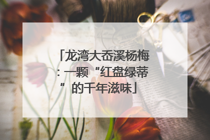 龙湾大岙溪杨梅：一颗“红盘绿蒂”的千年滋味