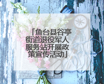 鱼台县谷亭街道退役军人服务站开展政策宣传活动