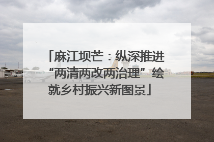 麻江坝芒：纵深推进“两清两改两治理”绘就乡村振兴新图景