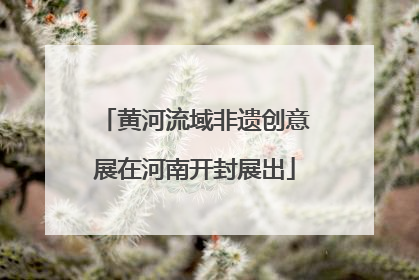 黄河流域非遗创意展在河南开封展出