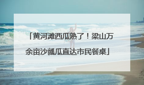 黄河滩西瓜熟了！梁山万余亩沙瓤瓜直达市民餐桌
