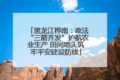 黑龙江桦南：政法“三箭齐发”护航农业生产 田间地头筑牢平安建设防线
