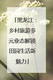 黑龙江：乡村旅游多元业态解锁田园生活新魅力