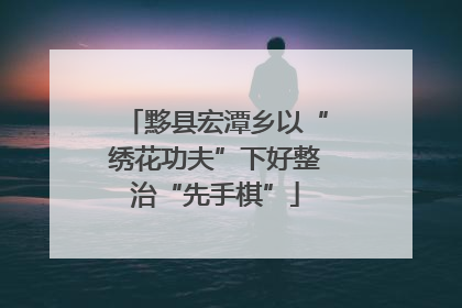 黟县宏潭乡以“绣花功夫”下好整治“先手棋”