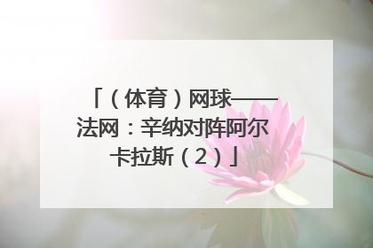 （体育）网球——法网：辛纳对阵阿尔卡拉斯（2）