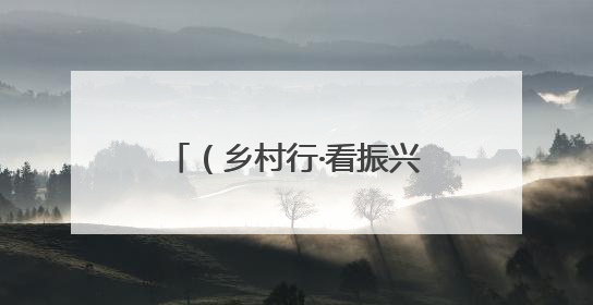 （乡村行·看振兴）吉林辉南荒山变“绿色银行” 绿水青山有“钱景”