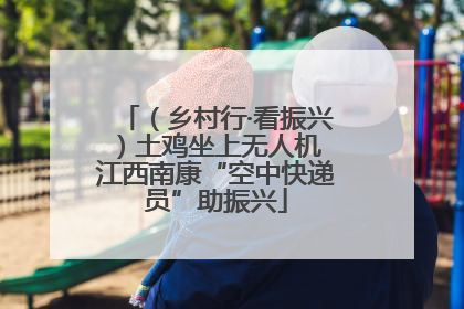 （乡村行·看振兴）土鸡坐上无人机 江西南康“空中快递员”助振兴