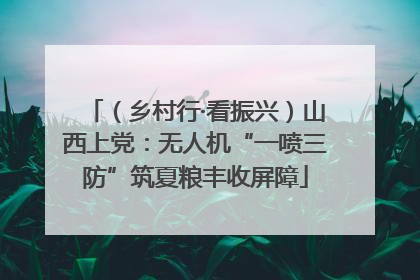 （乡村行·看振兴）山西上党：无人机“一喷三防”筑夏粮丰收屏障