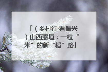 （乡村行·看振兴）山西襄垣：一粒“米”的新“稻”路