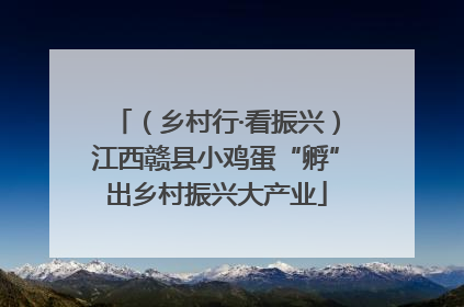 （乡村行·看振兴）江西赣县小鸡蛋“孵”出乡村振兴大产业