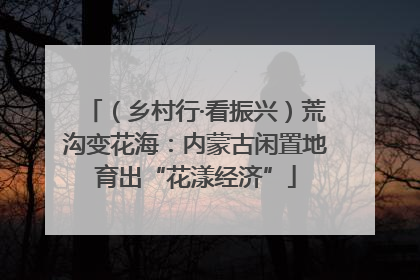 （乡村行·看振兴）荒沟变花海：内蒙古闲置地育出“花漾经济”