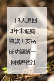 3天追回3年未退购物款!安岳成功调解一网购纠纷
