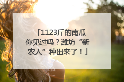 1123斤的南瓜你见过吗？潍坊“新农人”种出来了！
