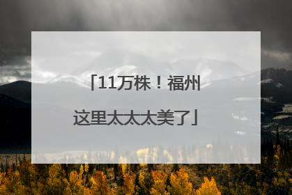 11万株！福州这里太太太美了