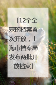 12个全宗的档案首次开放，上海市档案局发布两批开放档案